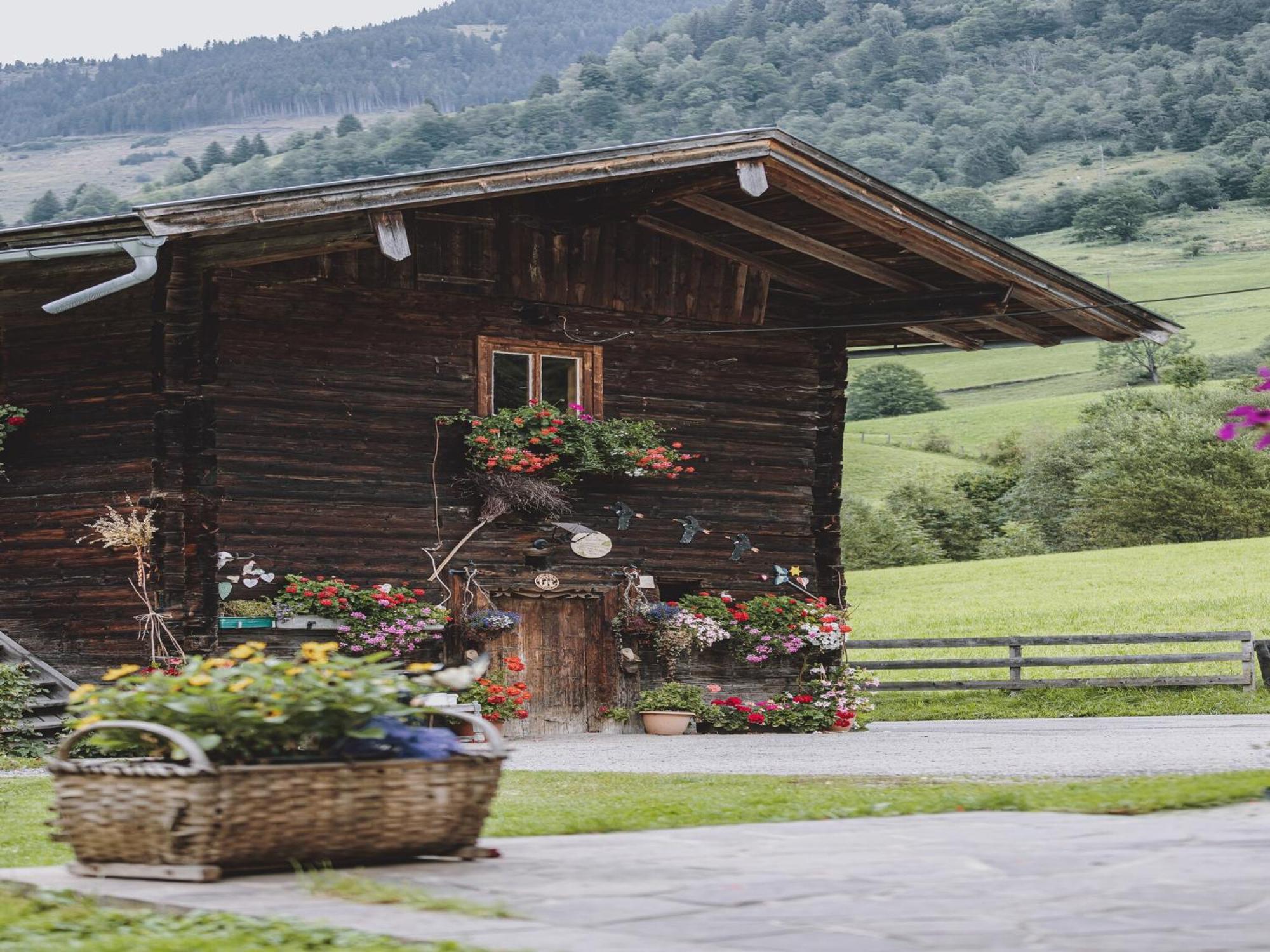 Holiday Home Fusch An Der Glocknerstra E Fusch an der Grossglocknerstrasse Exterior photo